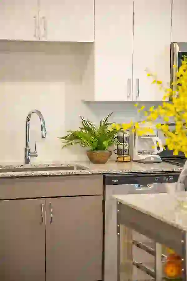 Top of the line finishes that elevate your entire space